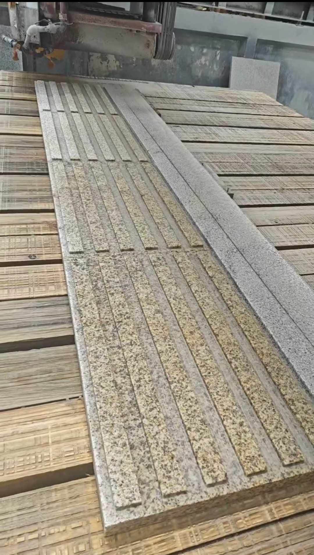 丽江黄金麻盲道石 盲条